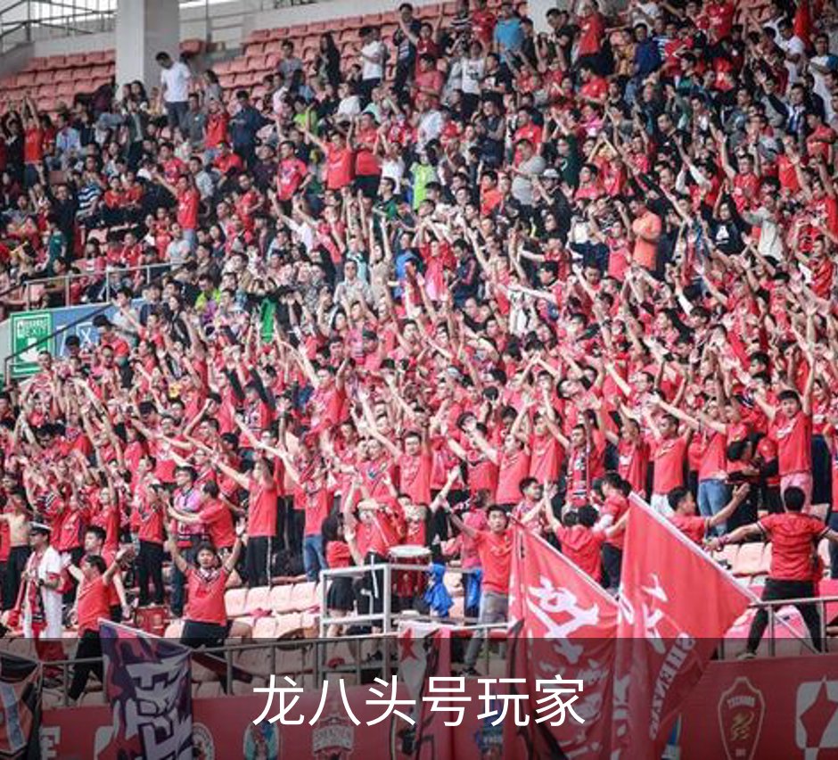 了解龙八头号玩家